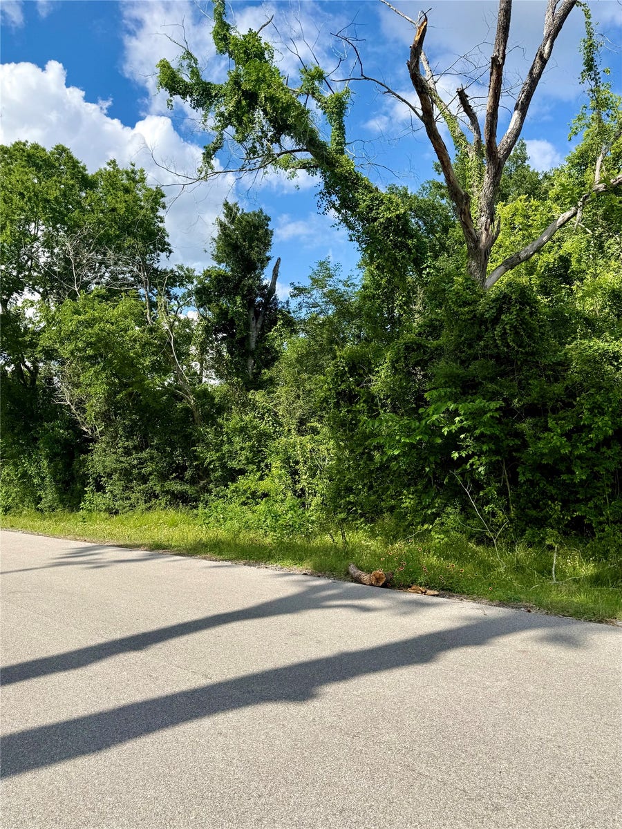 Property photo for 13650 Salt Grass Trail Lot 106, Cypress, TX