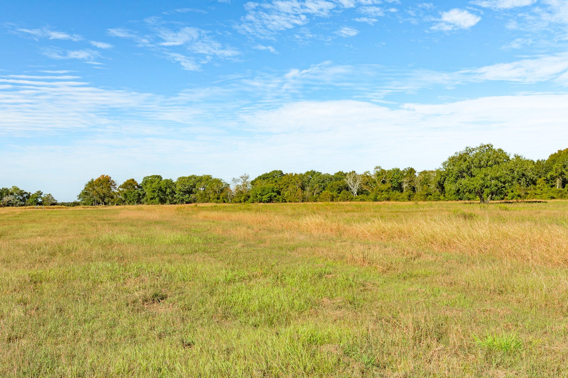 9120 County Road 196, Liverpool, TX 77577 Open pasture ideal for livestock or recreational use.