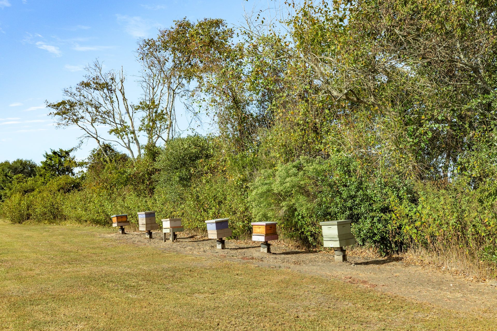 9120 County Road 196, Liverpool, TX 77577 Dedicated area for beekeeping.