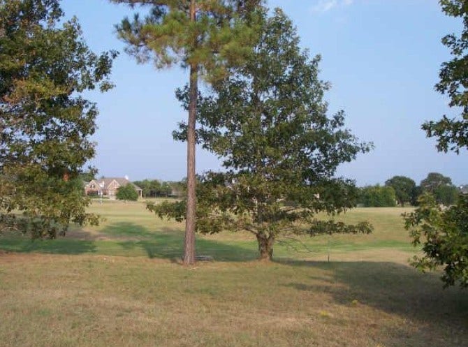 Property photo for 203 Sunnyvale E, Montgomery, TX