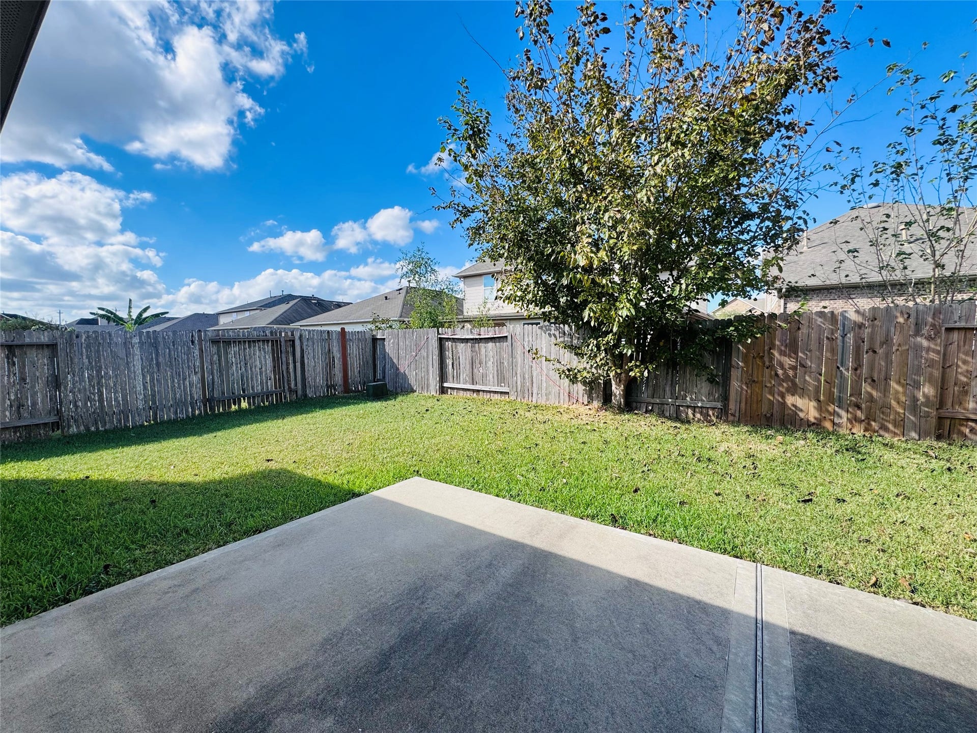 Spacious backyard with a lush green lawn, bordered by a wooden fence and featuring a mature tree, ideal for outdoor activities and relaxation.