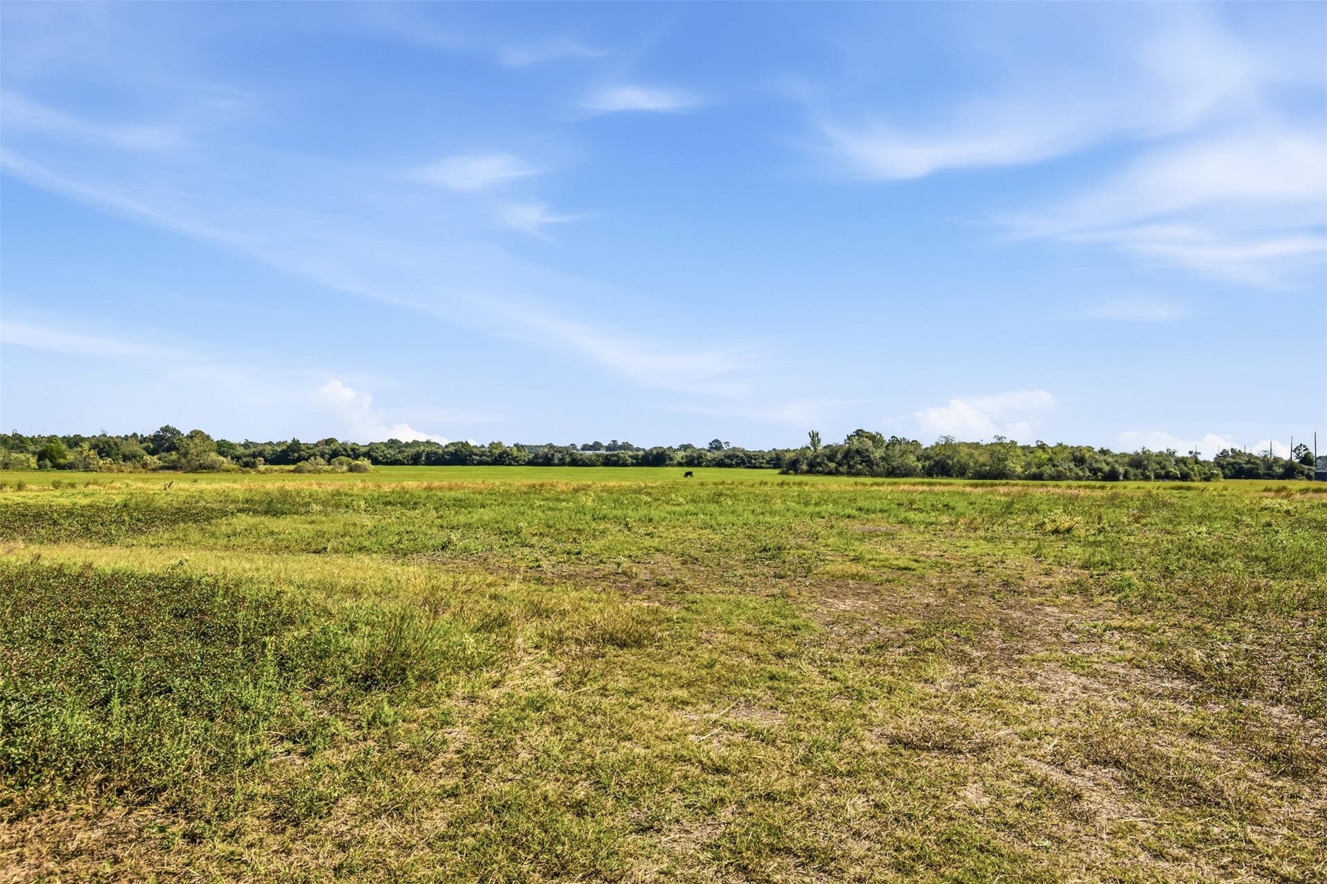 000 Richards Road, Prairie View, TX 77445 000 Richards Road, Prairie View, TX 77445
