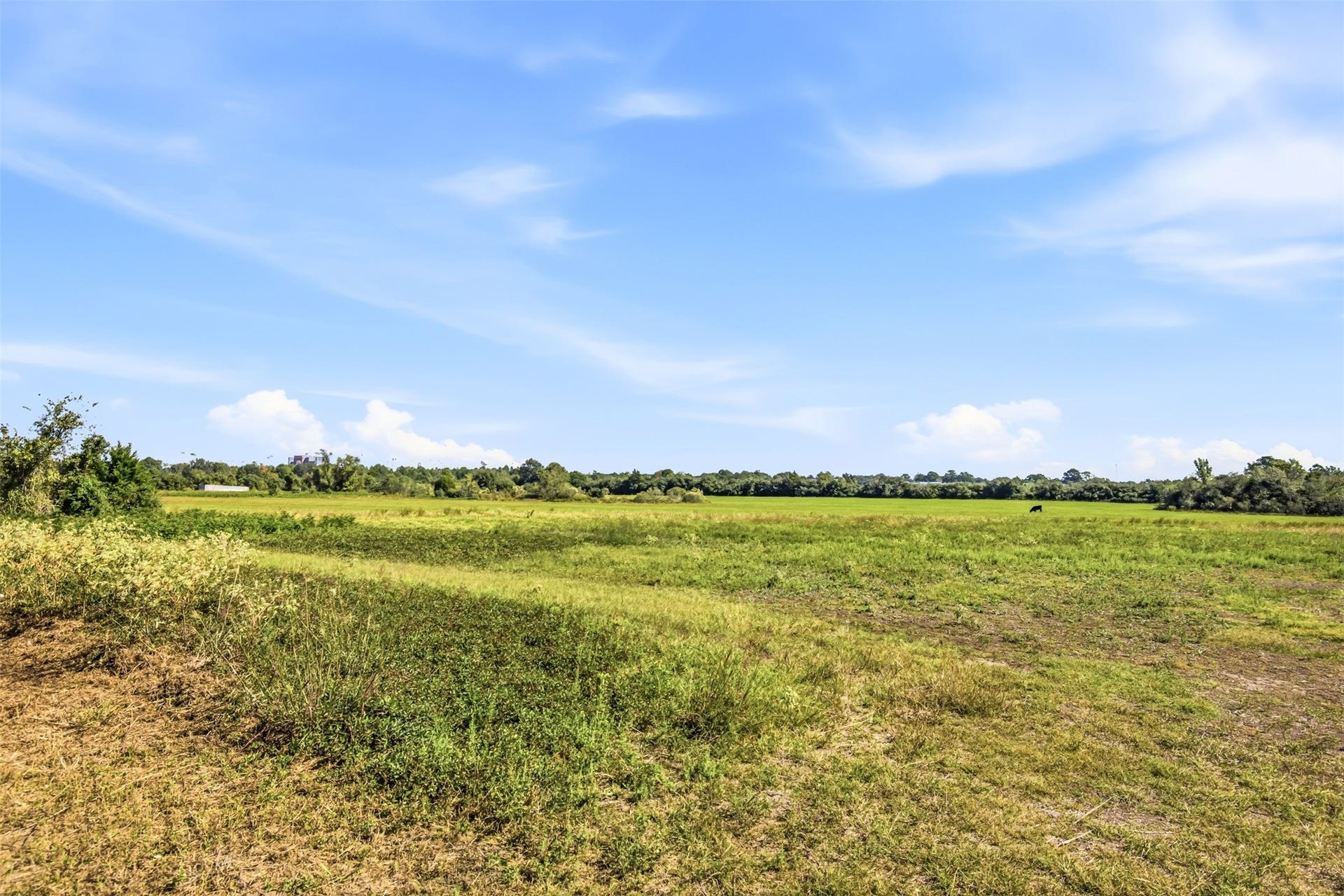 000 Richards Road, Prairie View, TX 77445 000 Richards Road, Prairie View, TX 77445