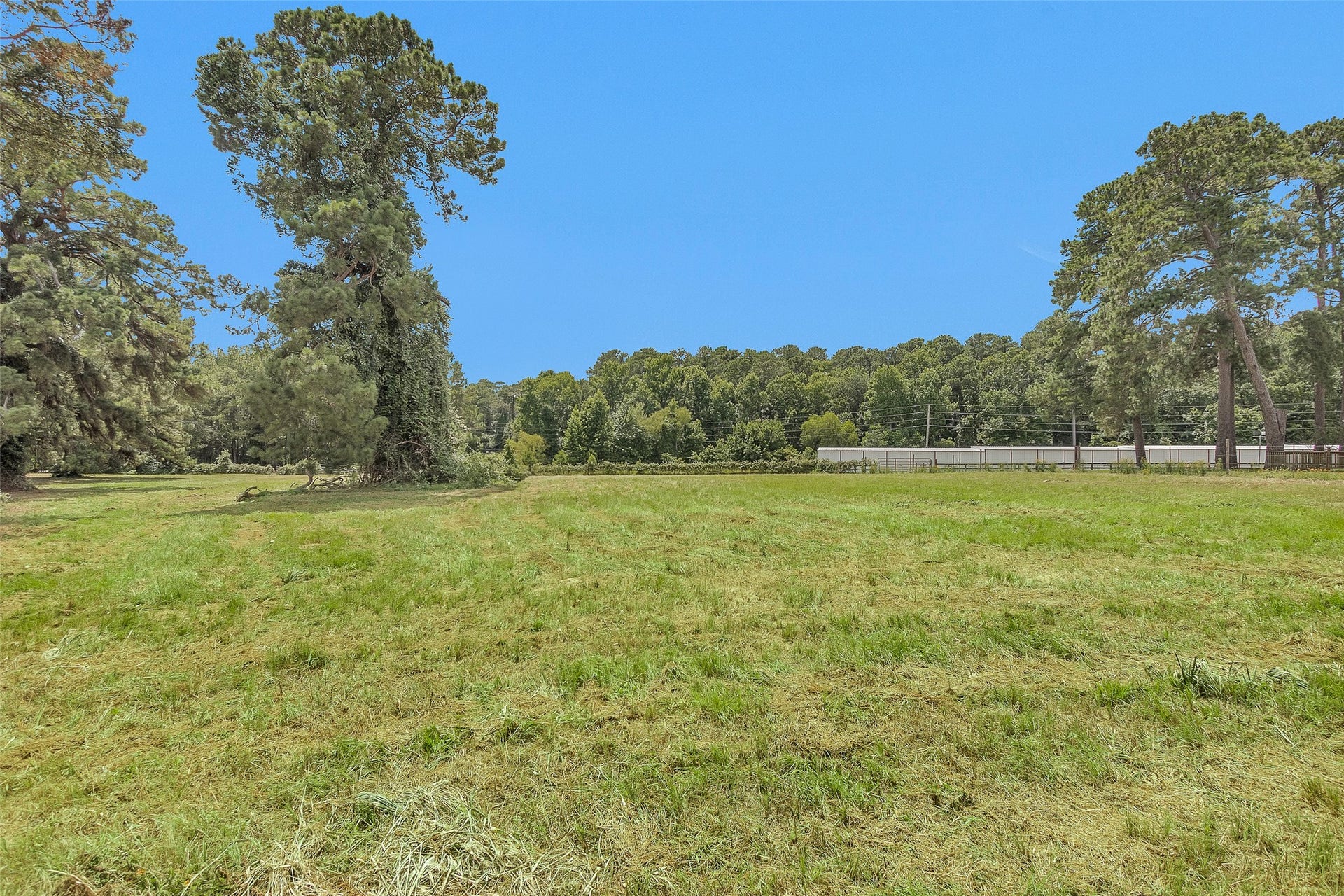 Lot 1 Paradise Point, Willis, TX 77318