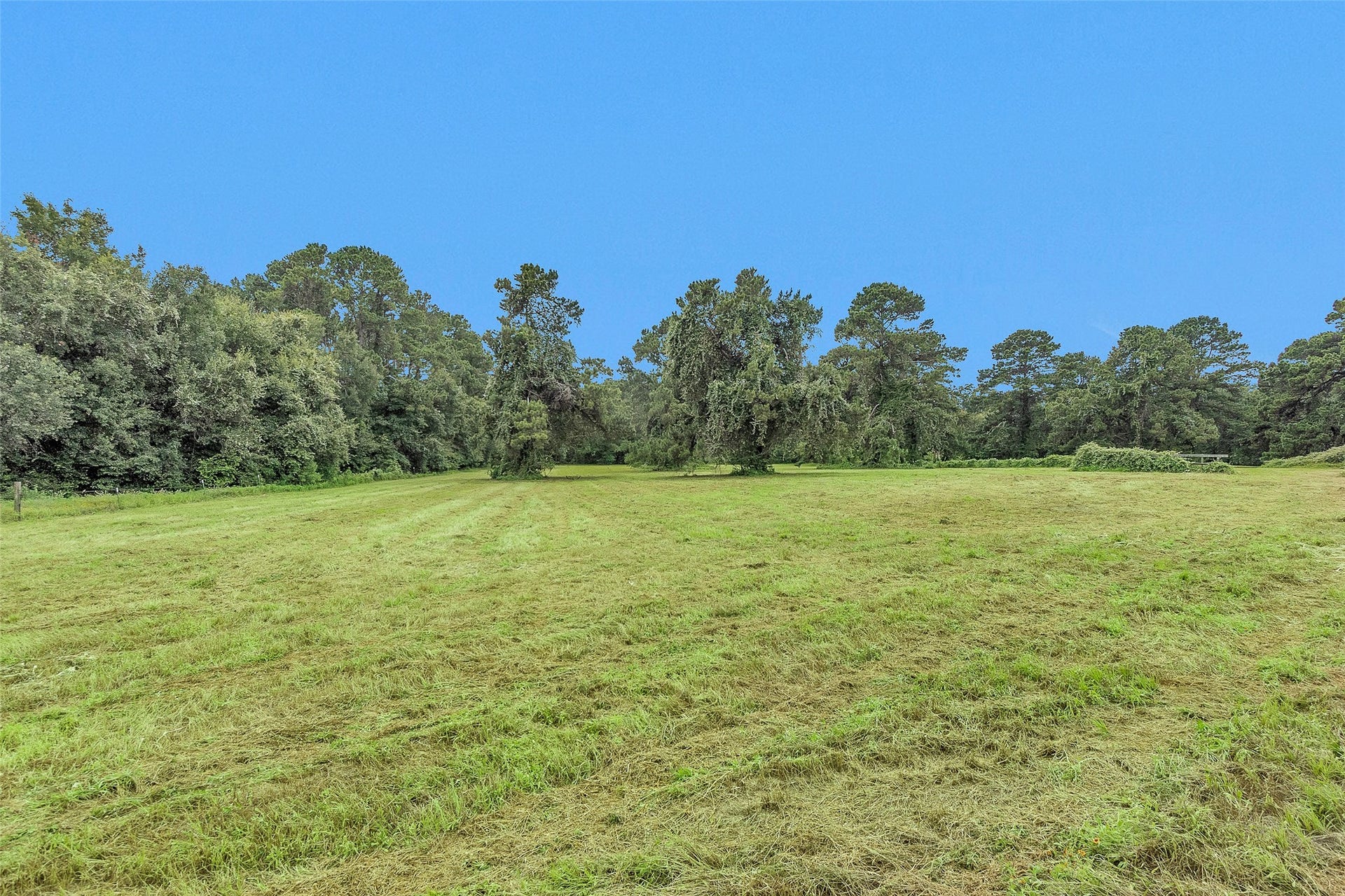 Lot 1 Paradise Point, Willis, TX 77318