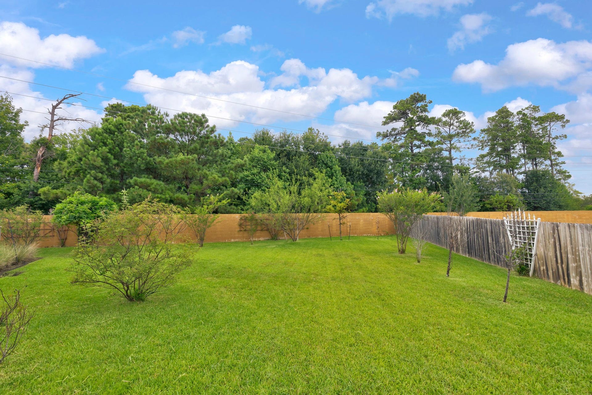25031 Karacabey Court, Spring, TX 77389 25031 Karacabey Court, Spring, TX 77389