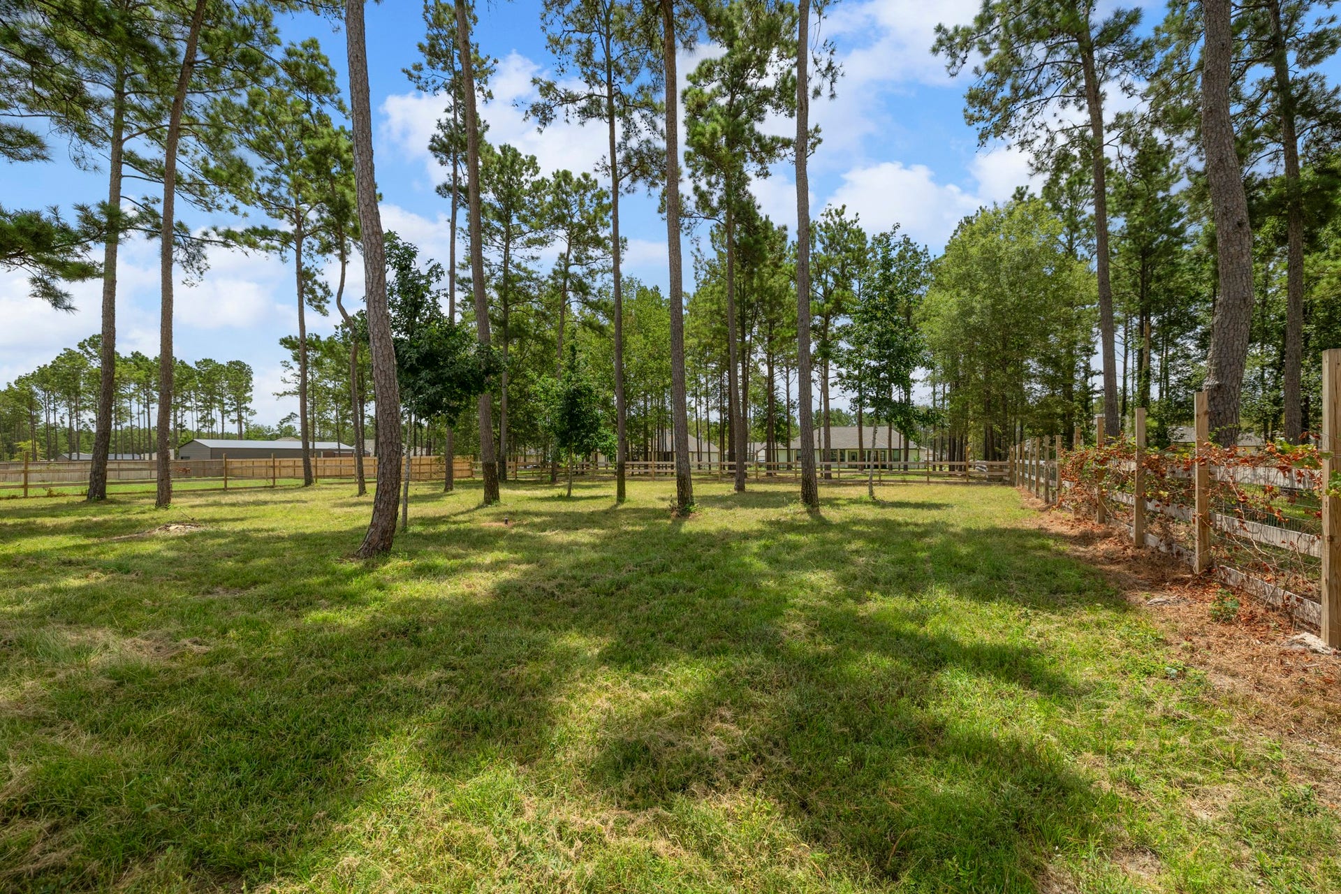 13432 Maverick Trail Road, Conroe, TX 77303 Perfect for enjoying nature and outdoor activities