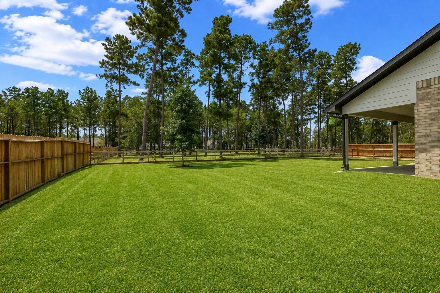 13432 Maverick Trail Road, Conroe, TX 77303 Appreciate your view of tall trees from the back porch