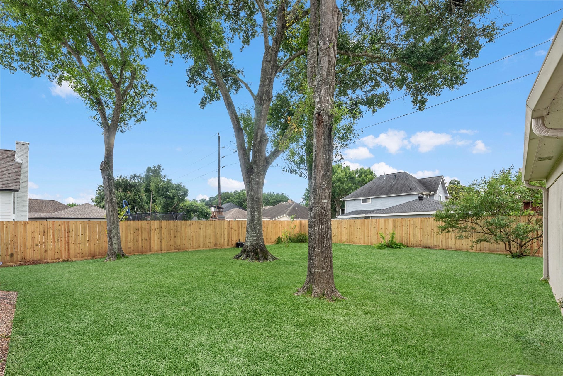 1523 Plantation Drive, Richmond, TX 77406 Shade trees and plenty of space to run and grow.