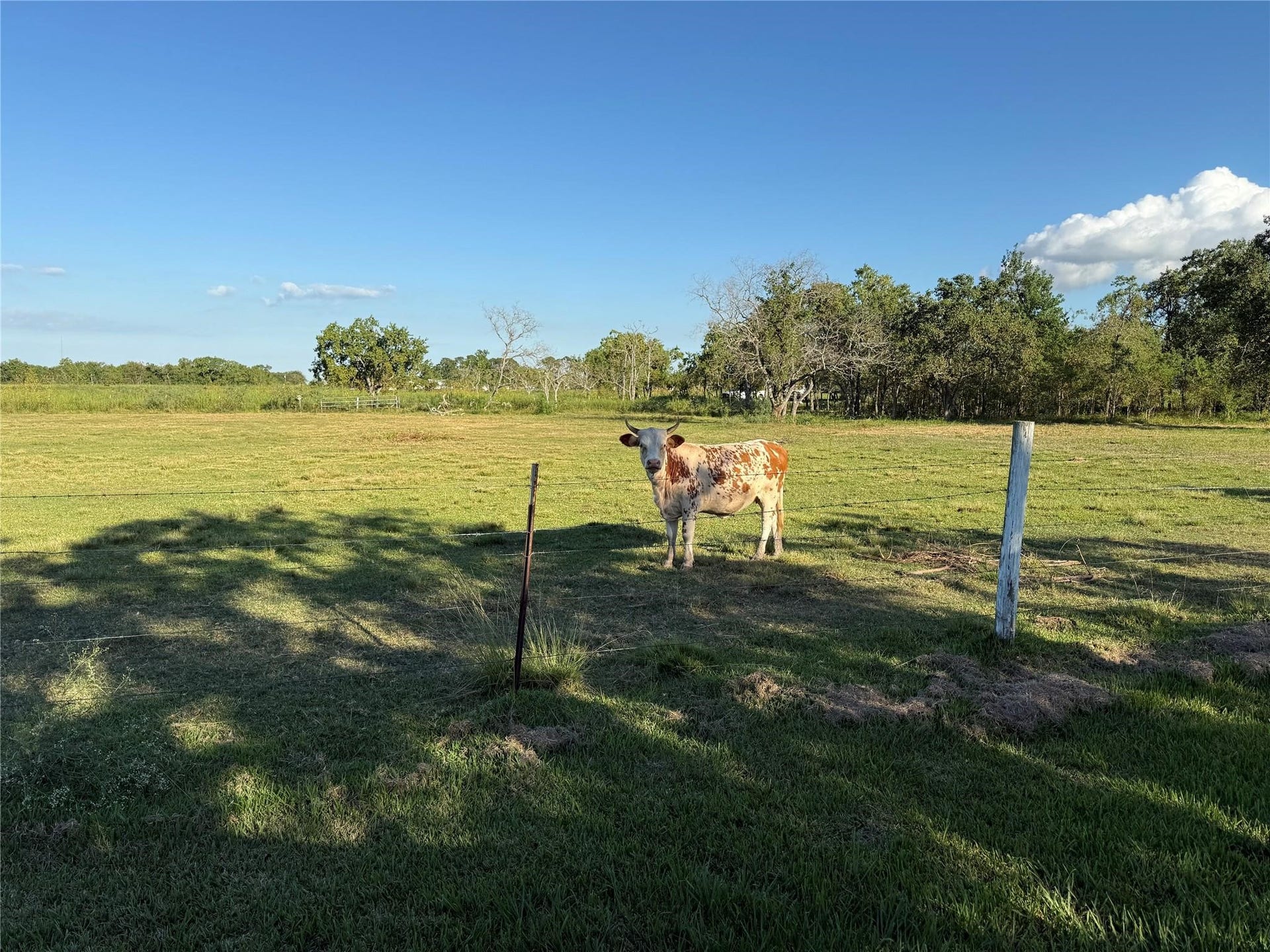8204 S Humble Camp Road, Dickinson, TX 77539 8204 S Humble Camp Road, Dickinson, TX 77539