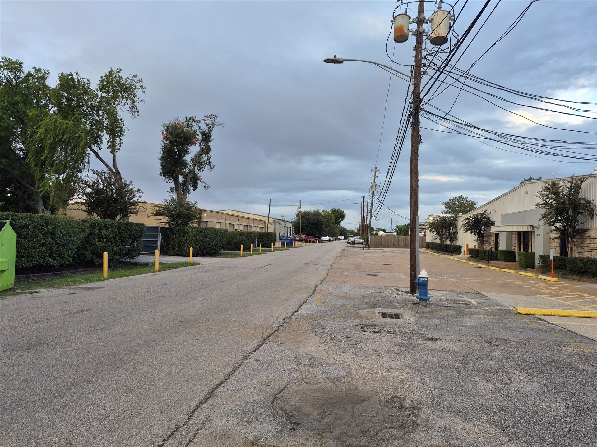 Daffodil Street