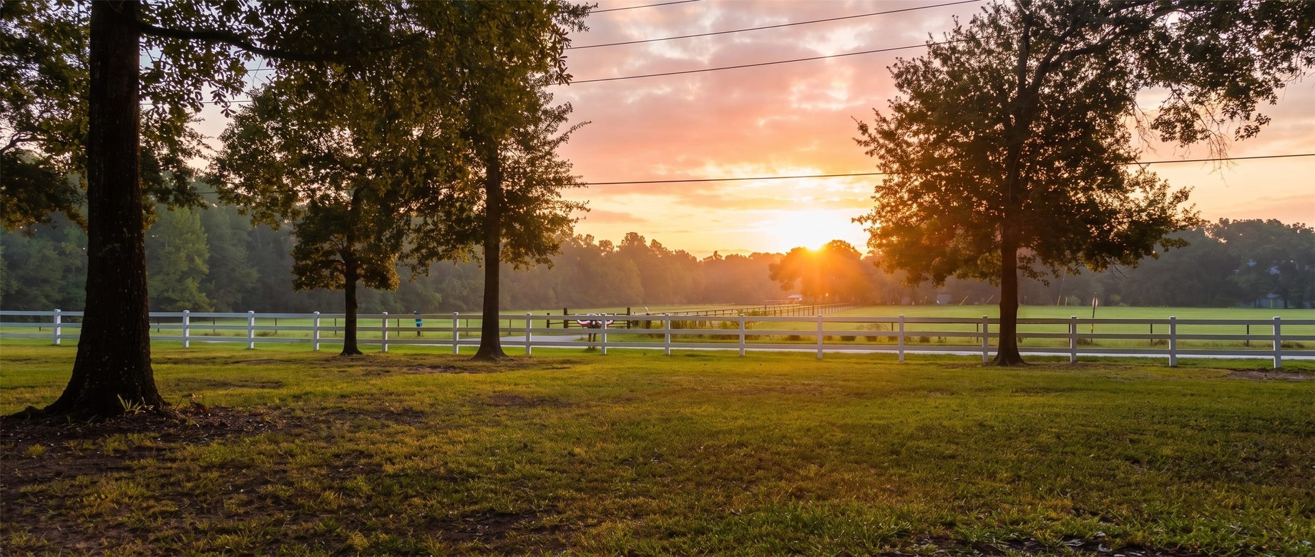 28207 Dobbin Huffsmith Road, Magnolia, TX 77354 28207 Dobbin Huffsmith Road, Magnolia, TX 77354