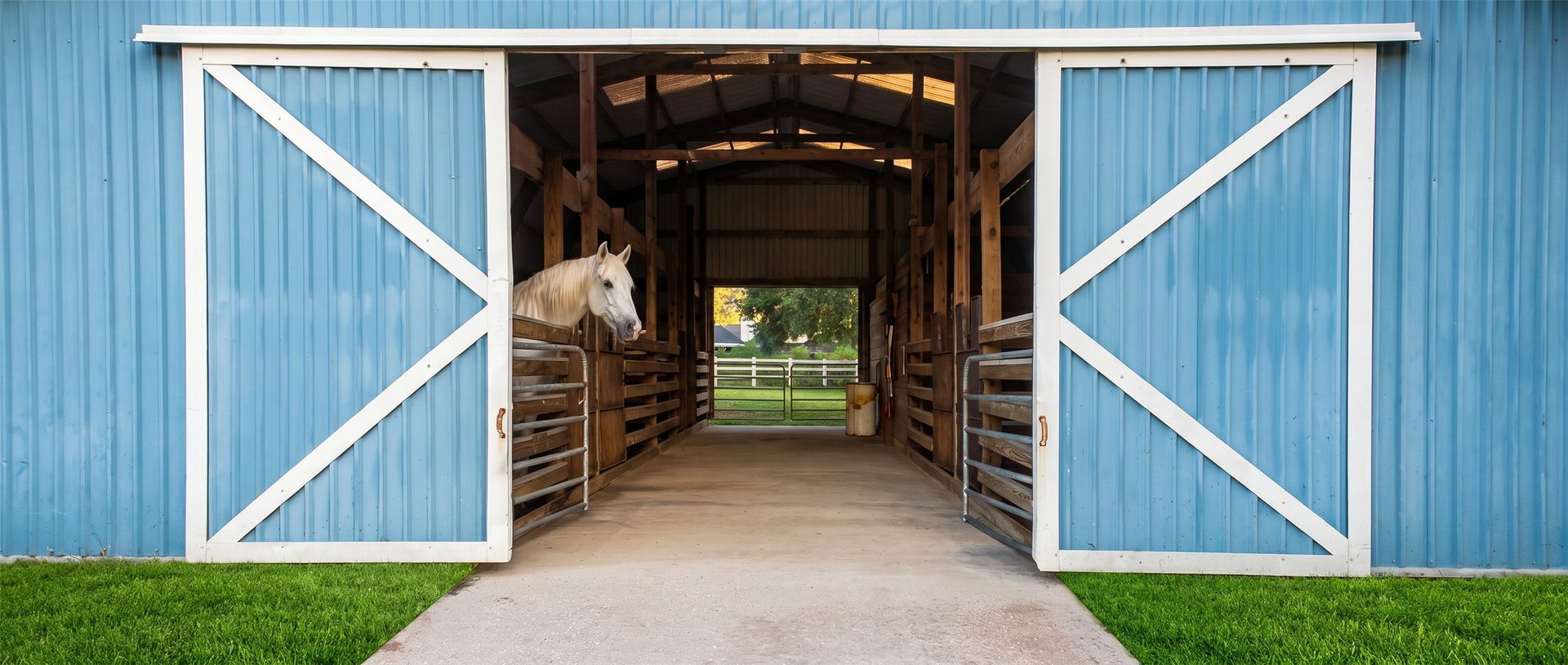 28207 Dobbin Huffsmith Road, Magnolia, TX 77354 virtual staging-horse