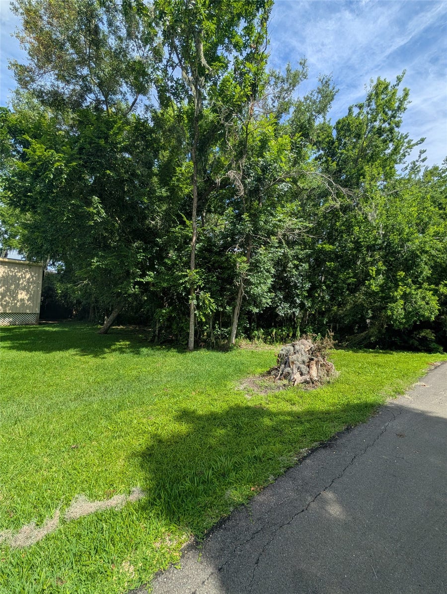 Property photo for 000 Bay Court, Brazoria, TX