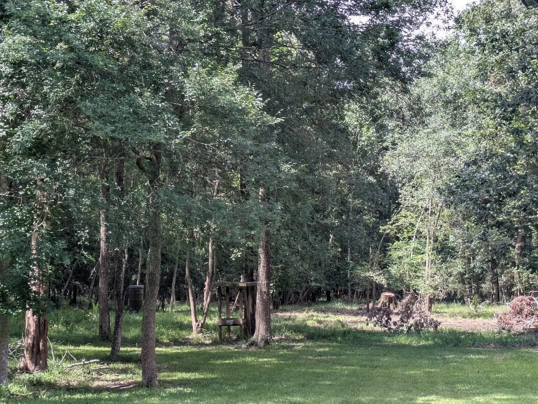 28235 Lazy Rock Drive, Houston, TX 77336 Gorgeous wooded property