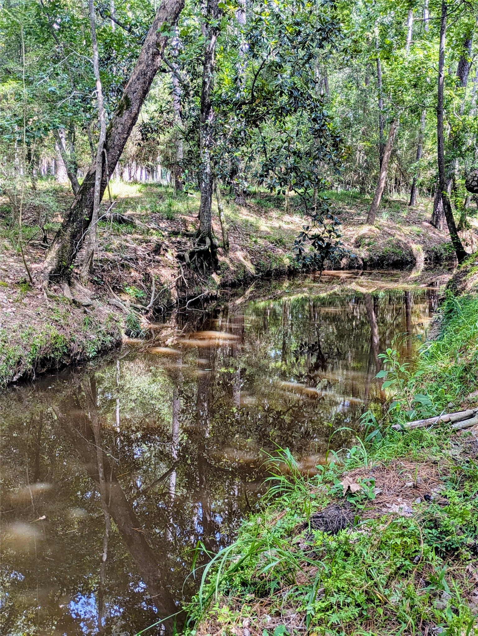 28235 Lazy Rock Drive, Houston, TX 77336 Serene waterway at the far back of the property