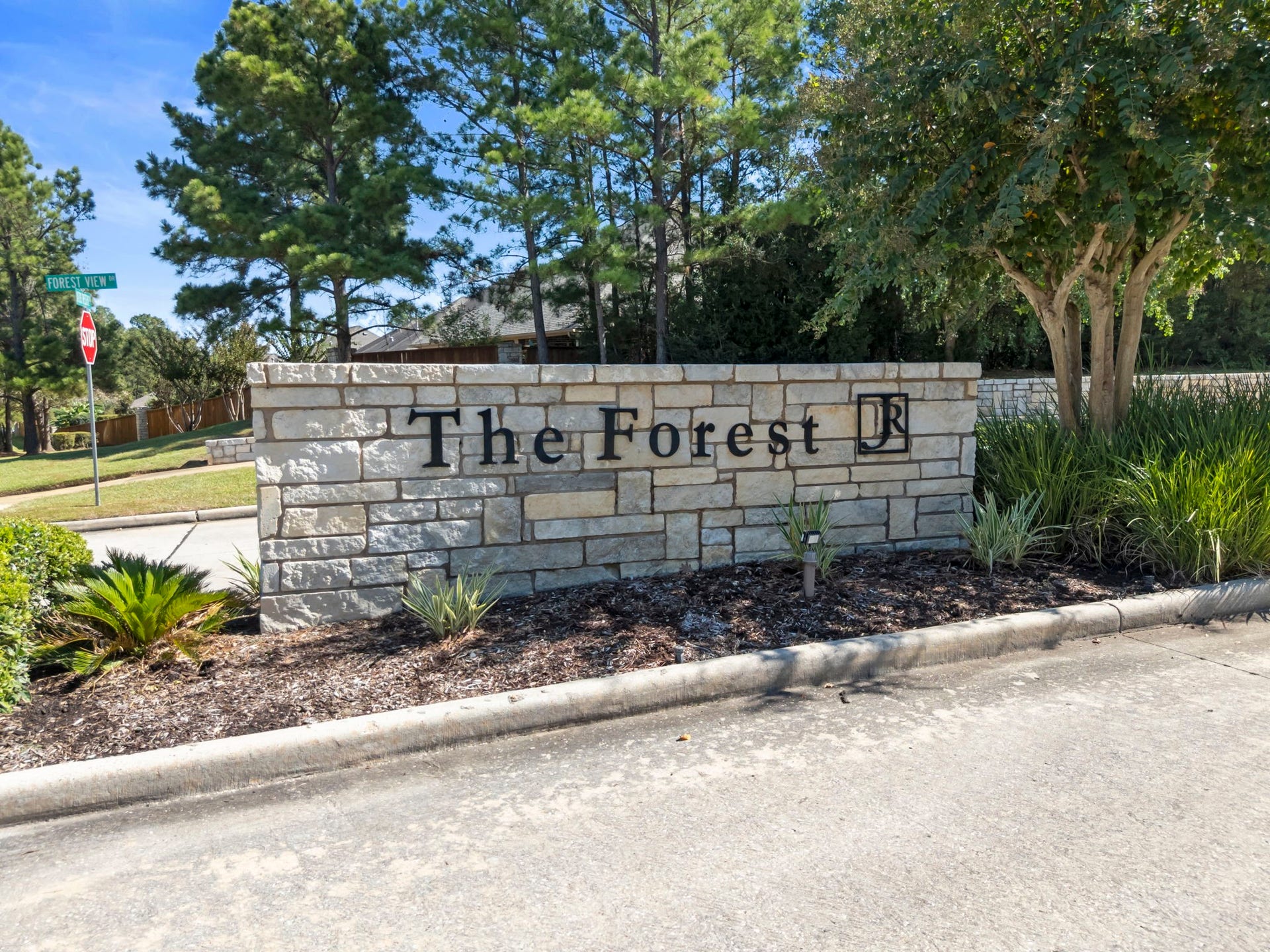 431 Hendricks Forest Lane, Conroe, TX 77384