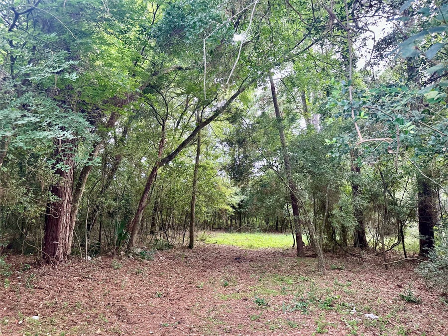 Property photo for 000 St Lawrence River Rd, Conroe, TX