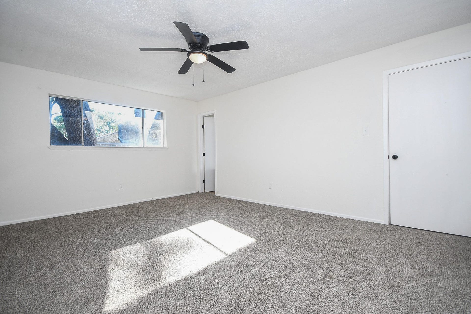 16118 Bougainvilla Lane, Friendswood, TX 77546