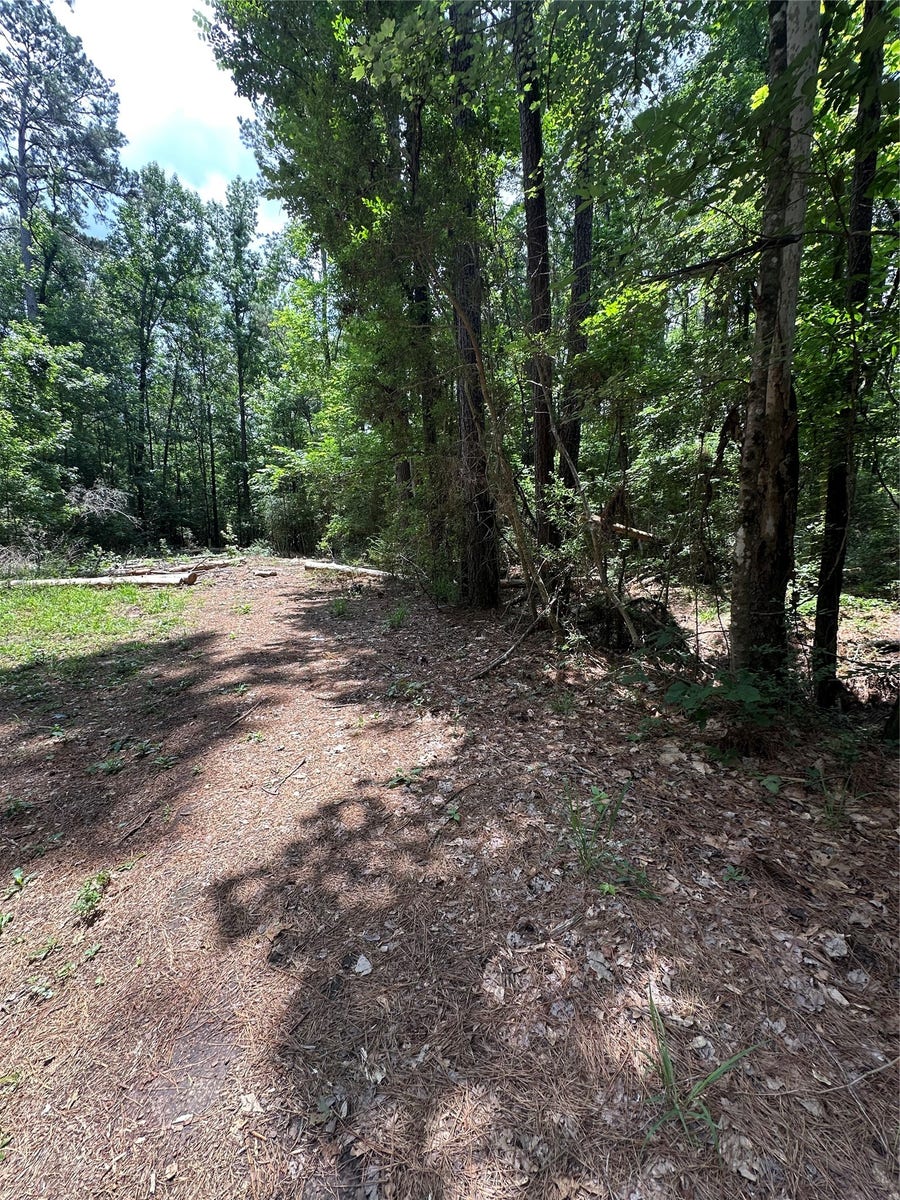 Property photo for Lot 715 & Lot 716 N Royal Estates Drive, Conroe, TX