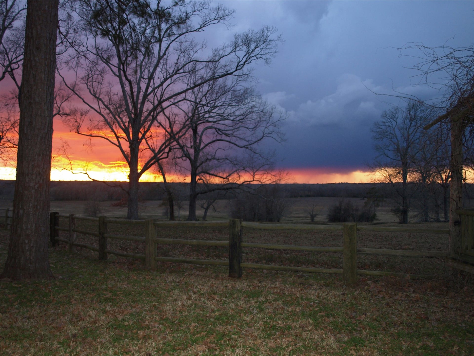 3920 Spring Branch Road, Montgomery, TX 77316 3920 Spring Branch Road, Montgomery, TX 77316