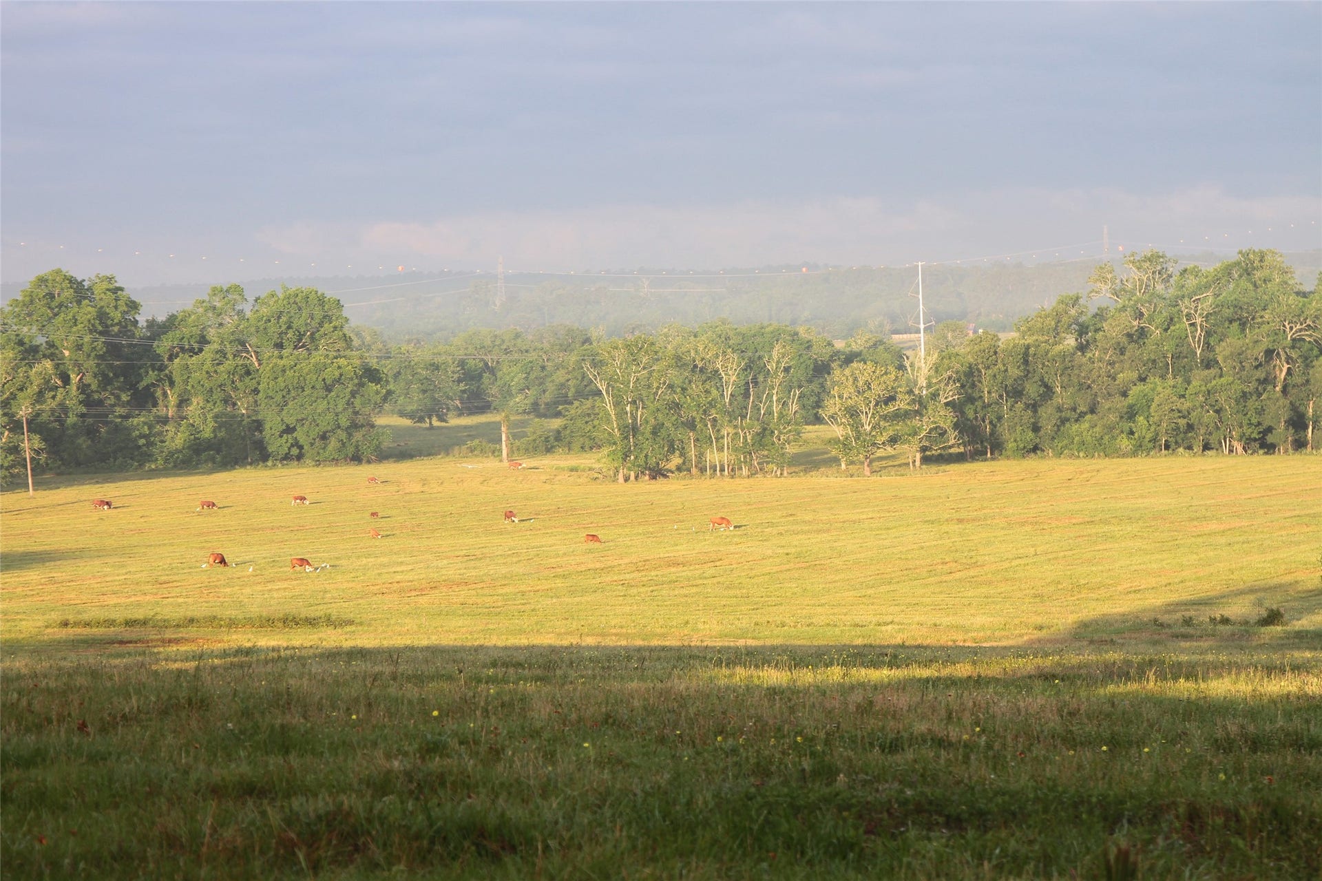 3920 Spring Branch Road, Montgomery, TX 77316 3920 Spring Branch Road, Montgomery, TX 77316