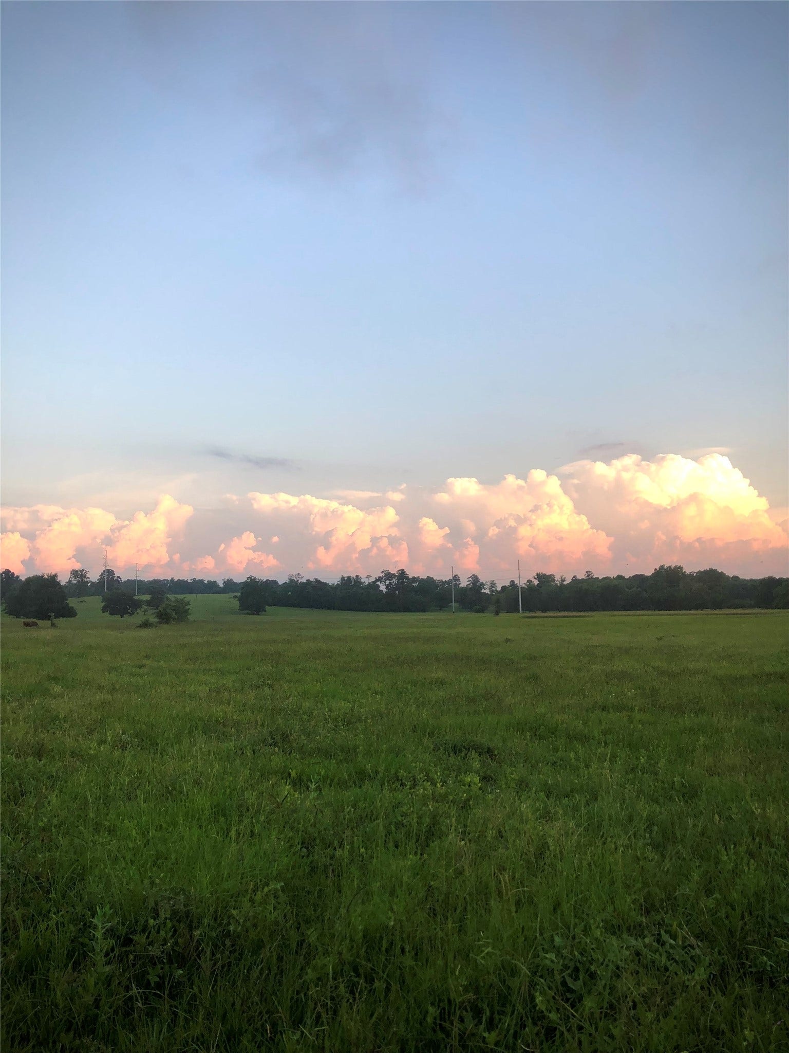 3920 Spring Branch Road, Montgomery, TX 77316 Pasture views.