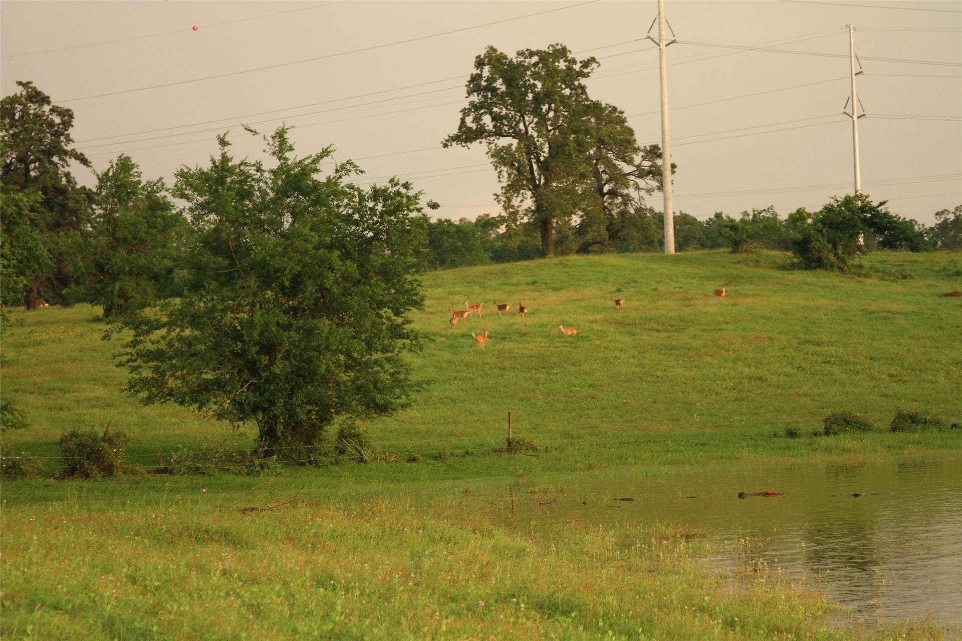 3920 Spring Branch Road, Montgomery, TX 77316 3920 Spring Branch Road, Montgomery, TX 77316