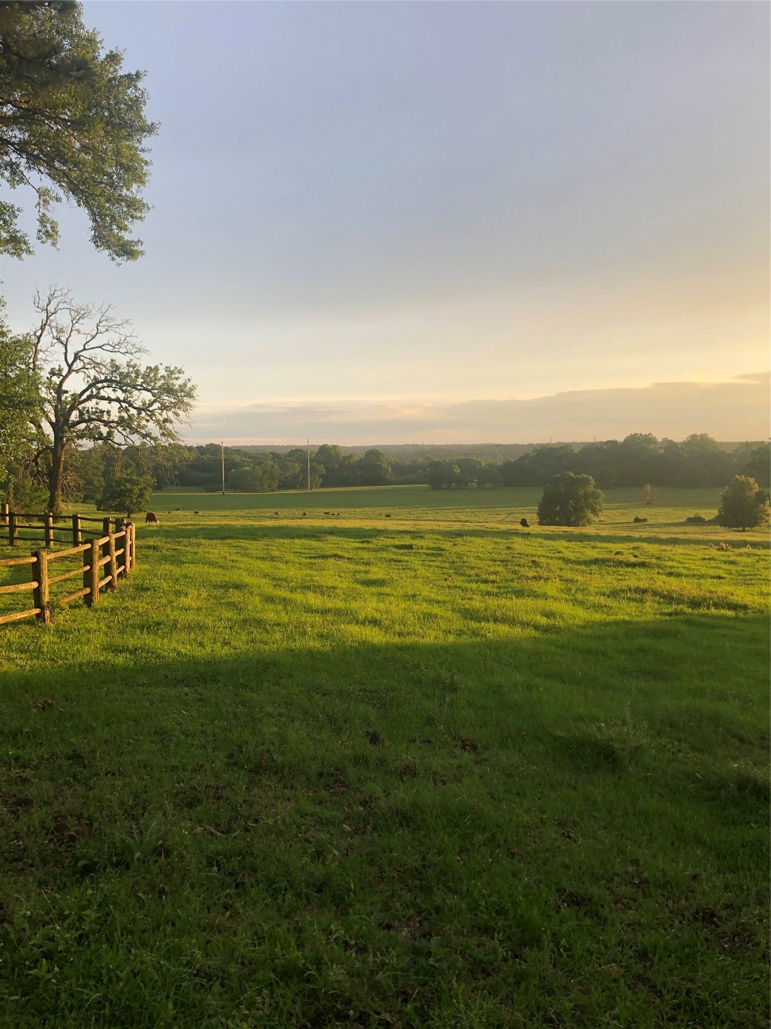 3920 Spring Branch Road, Montgomery, TX 77316 3920 Spring Branch Road, Montgomery, TX 77316