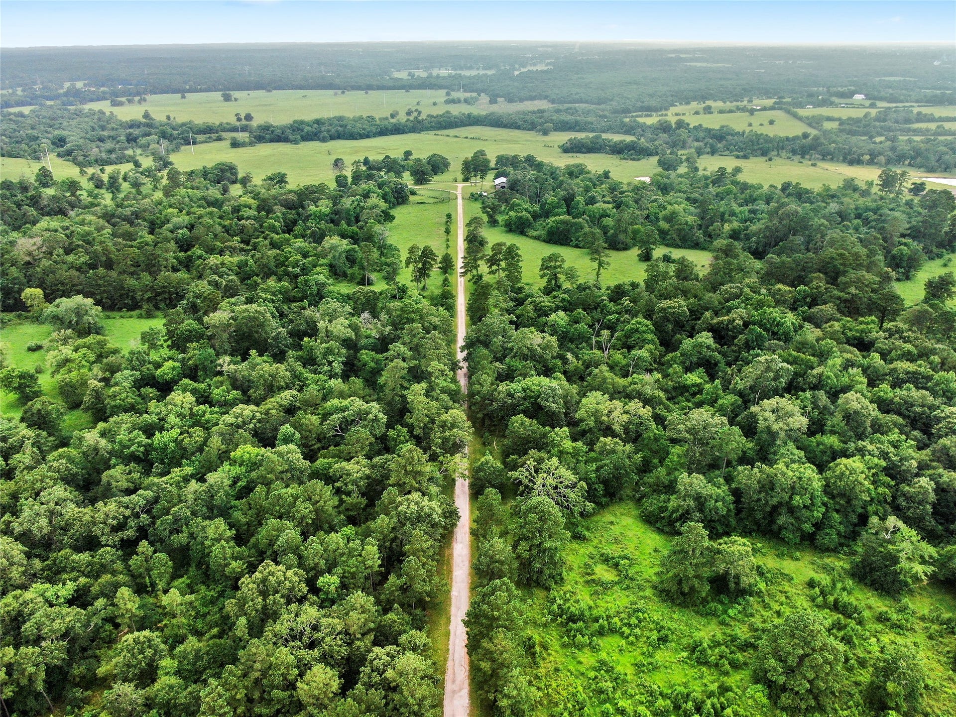 3920 Spring Branch Road, Montgomery, TX 77316 Main driveway. Fenced and x-fenced throughout the tract.