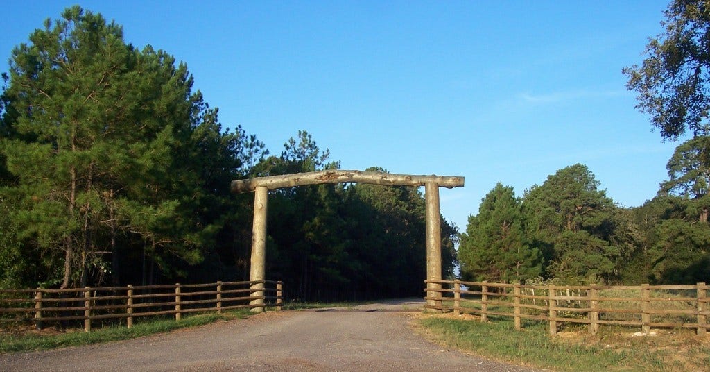 3920 Spring Branch Road, Montgomery, TX 77316 Main driveway