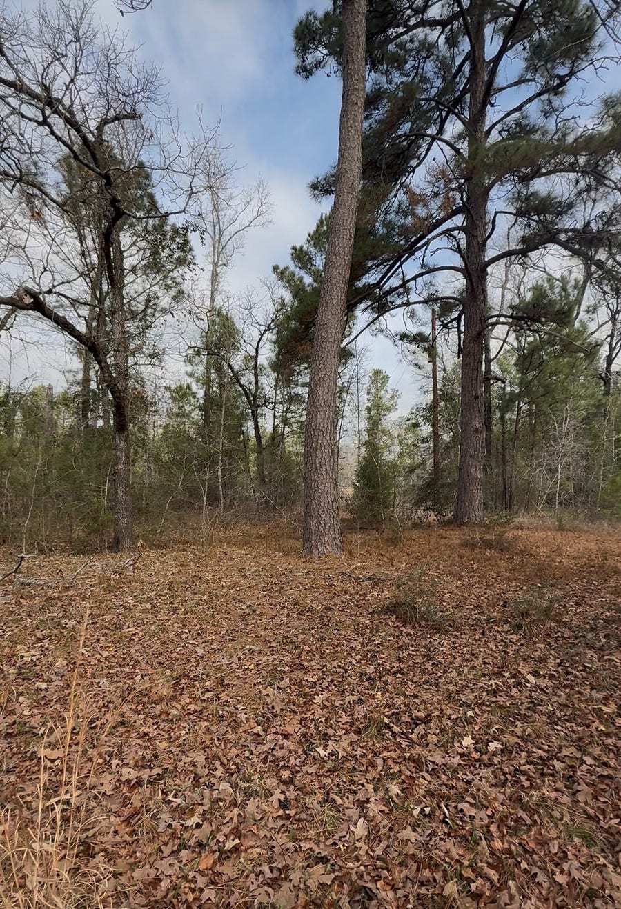 Property photo for 24159 Weeren Road, Montgomery, TX