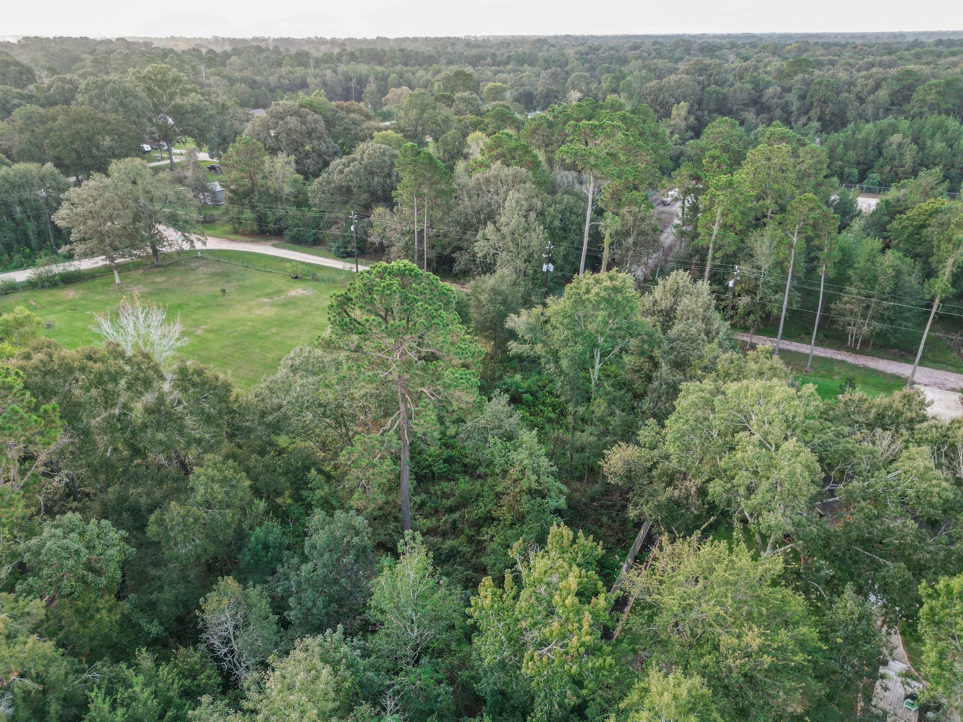 0 Golden Ln Lane, Houston, TX 77336