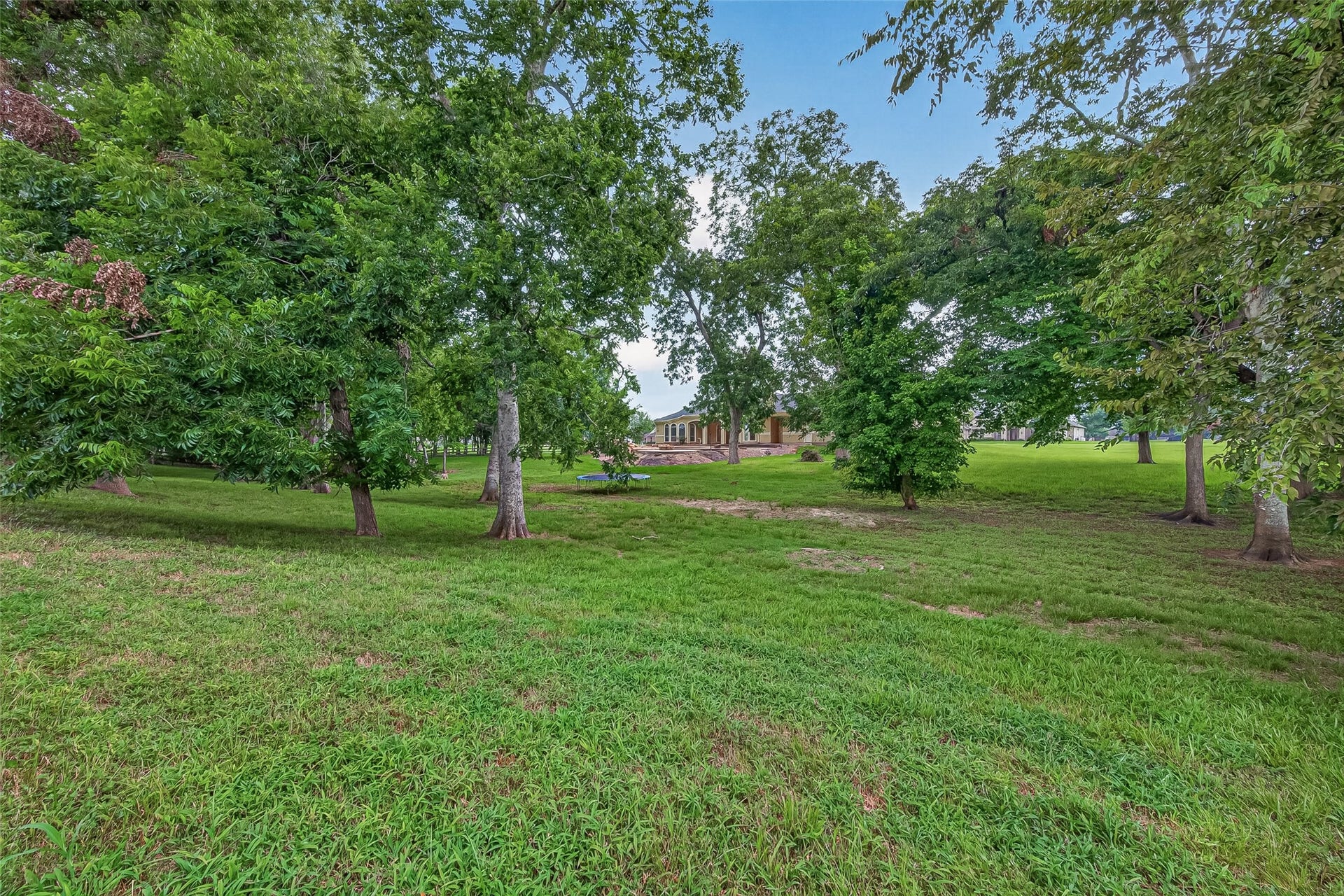 4011 Westerdale Drive, Fulshear, TX 77441 This property with over 2 acres of land has it's own private woodland area.