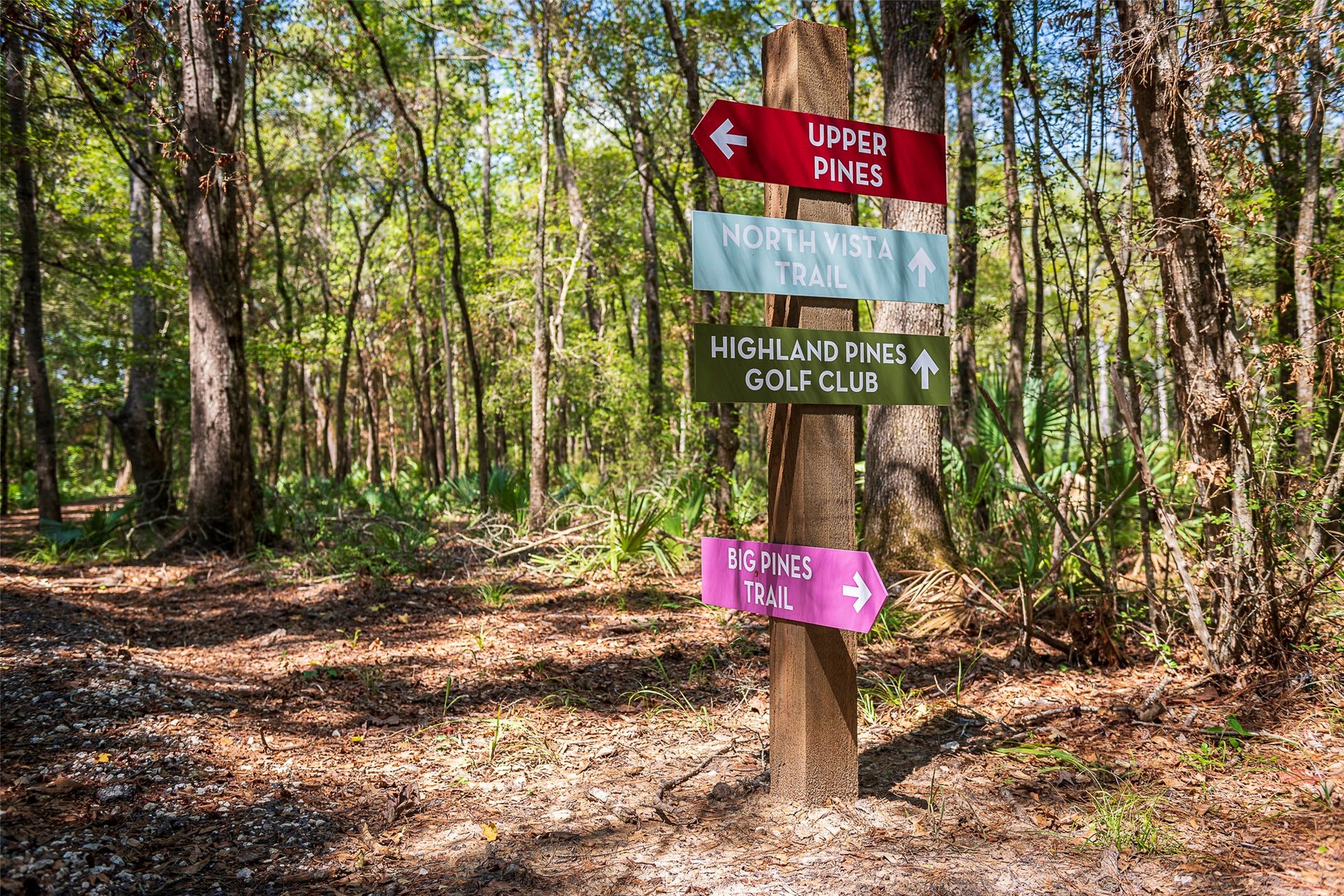 21845 Golden Putt Drive, Porter, TX 77365 Explore miles of scenic nature trails winding through The Highlandsperfect for hiking, biking, or a peaceful walk through the trees. Trail markers make it easy to navigate and enjoy the great outdoors just steps from home.