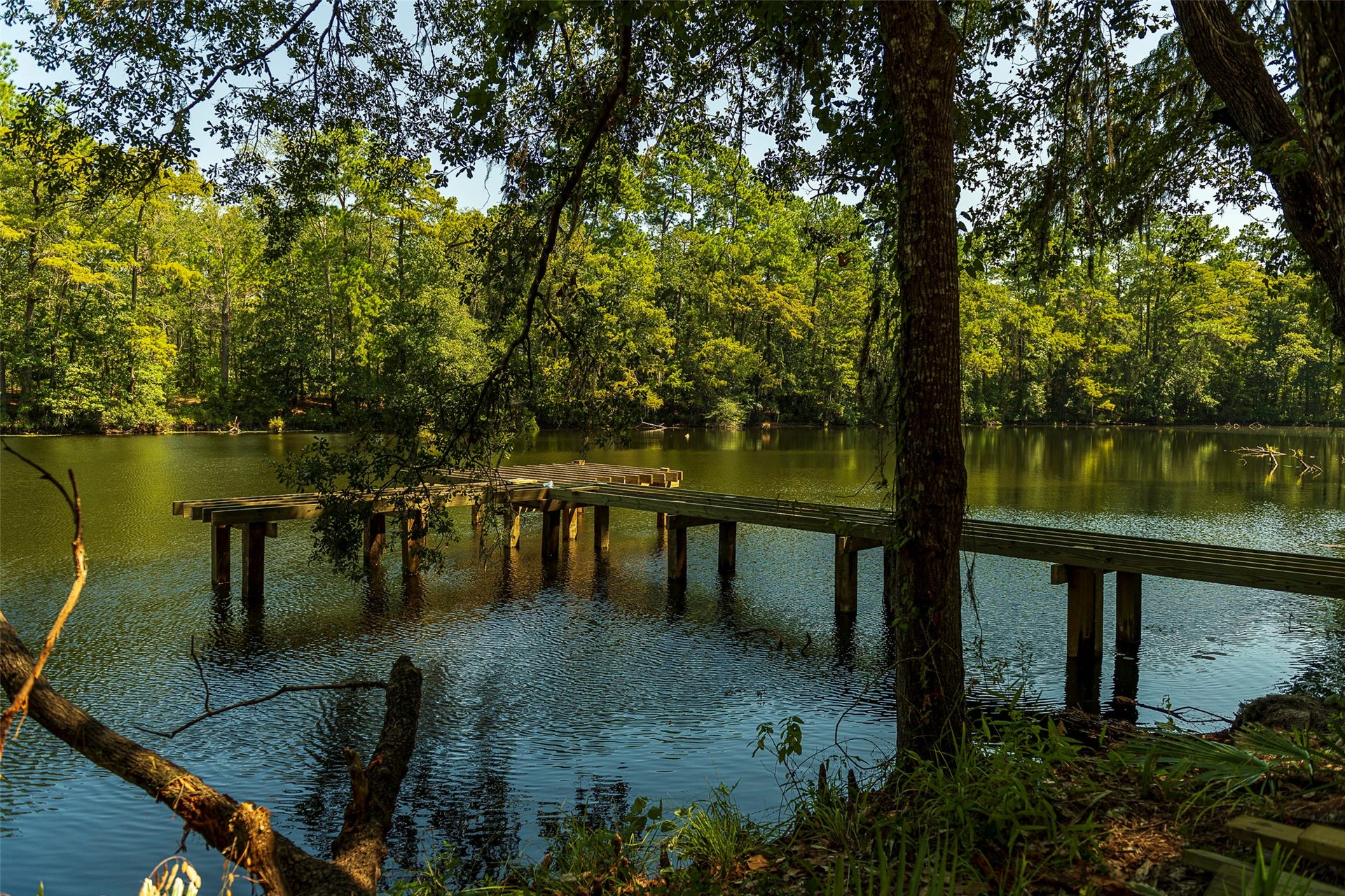 21845 Golden Putt Drive, Porter, TX 77365 Discover peaceful moments at The Preserve, where scenic walking trails and serene lakeside boardwalks offer a quiet retreat surrounded by nature.