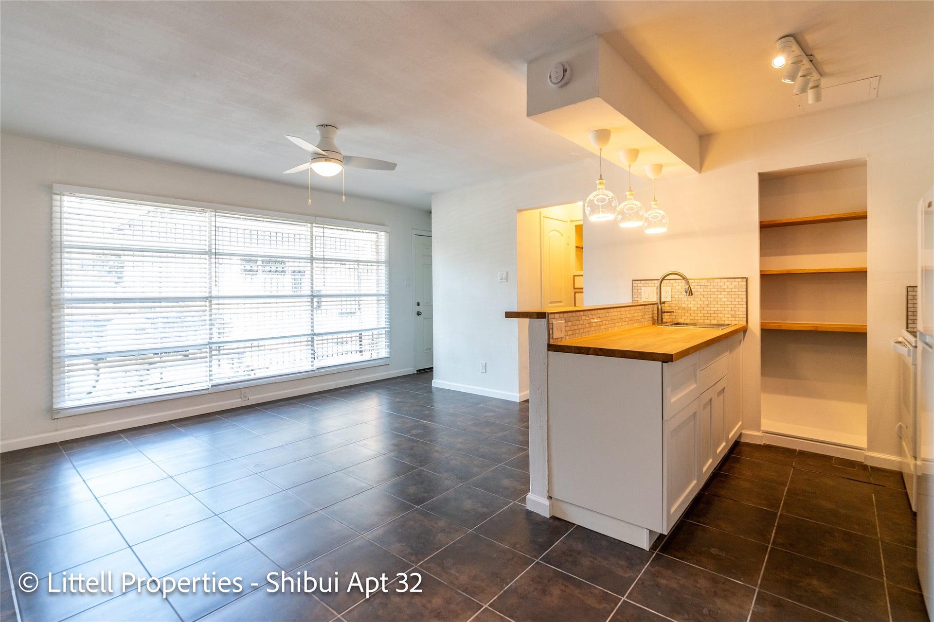 714 Woodrow Street, #32, Houston, TX 77006 Storage or display, you choose