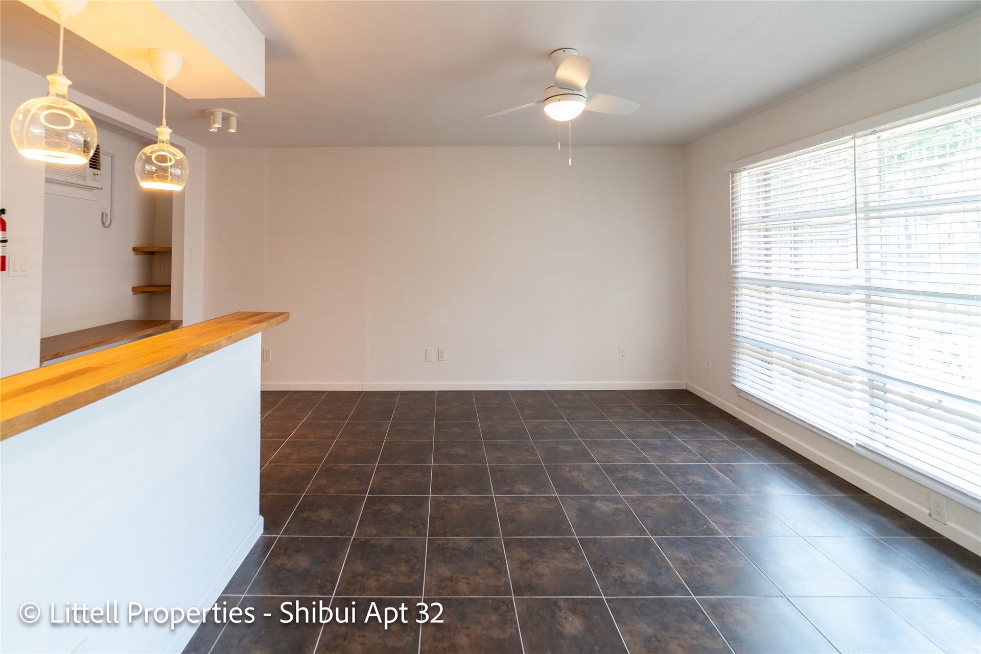 714 Woodrow Street, #32, Houston, TX 77006 No carpet!