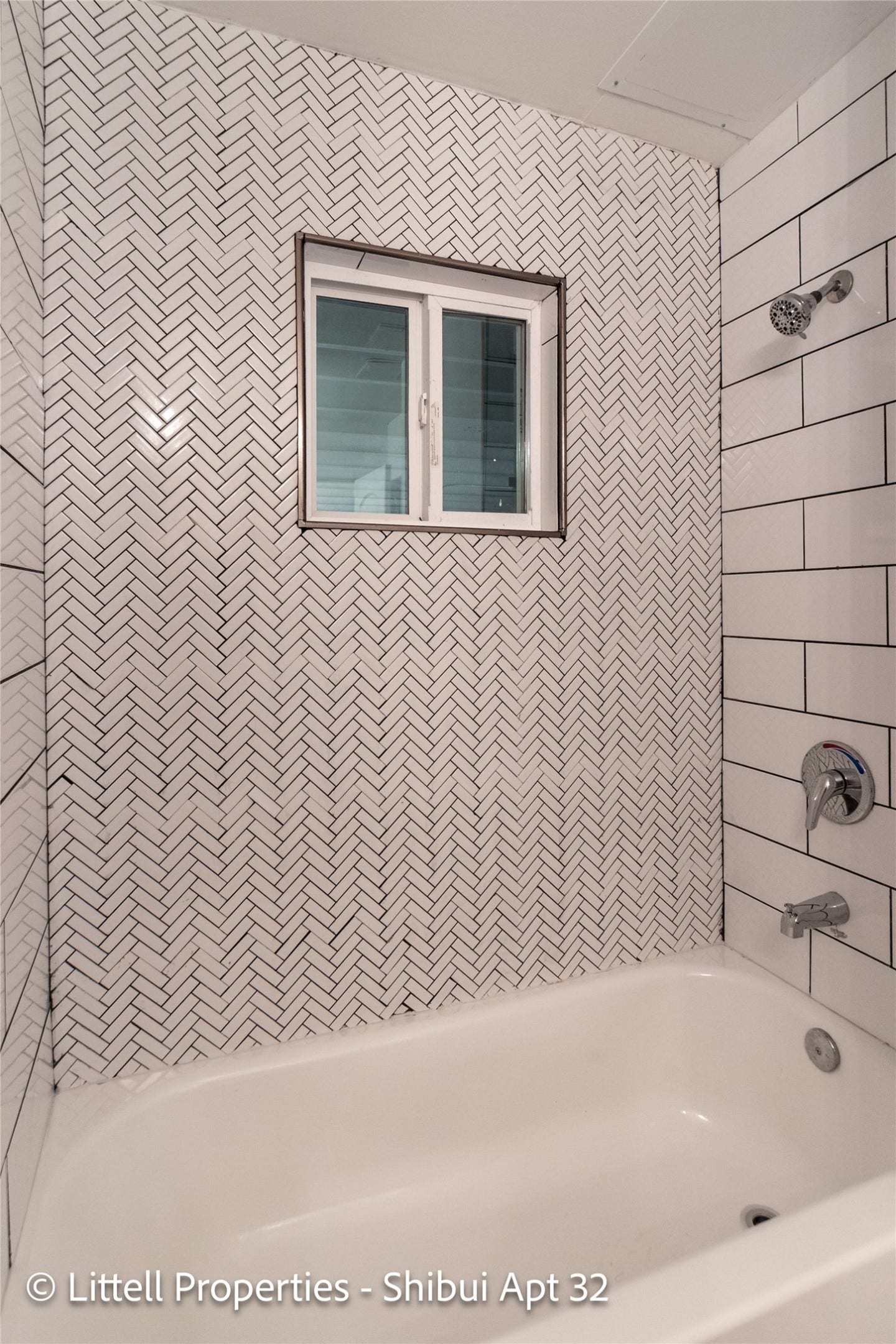 714 Woodrow Street, #32, Houston, TX 77006 Combined tub/shower