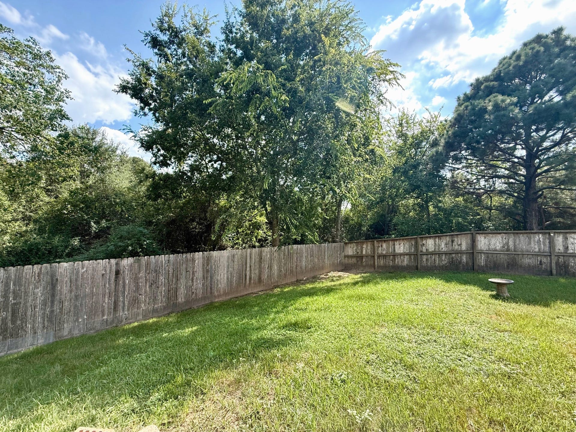 3622 Pedernales Trails Lane, Katy, TX 77450 Surrounded by nature and stunning mature trees.