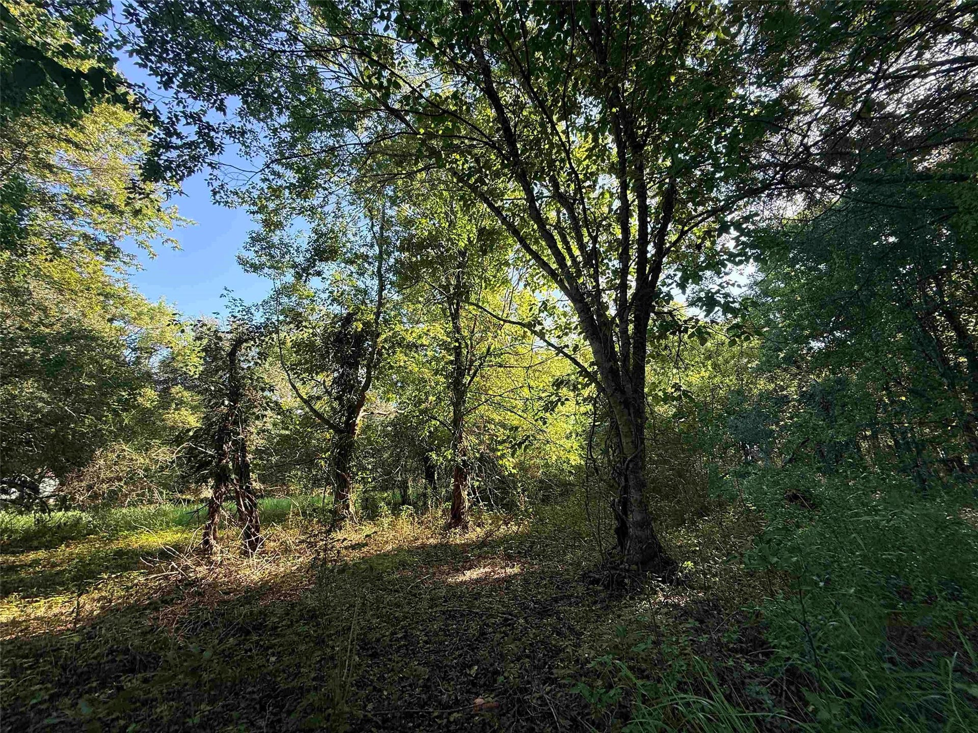 601 Amanda, Beaumont, TX 77713