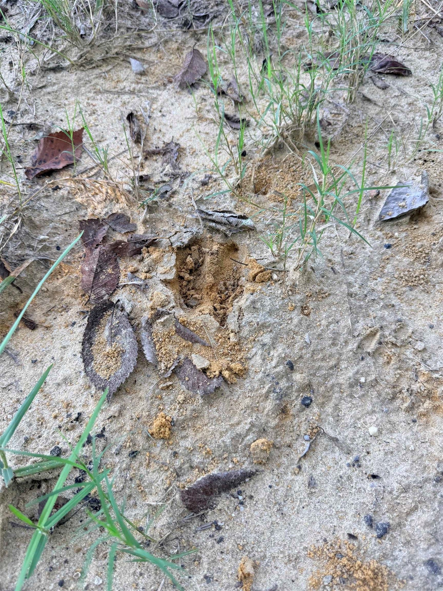 601 Amanda, Beaumont, TX 77713