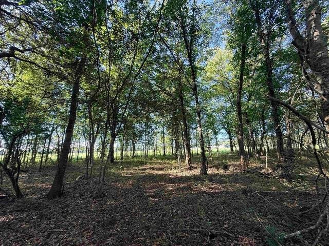 601 Amanda, Beaumont, TX 77713