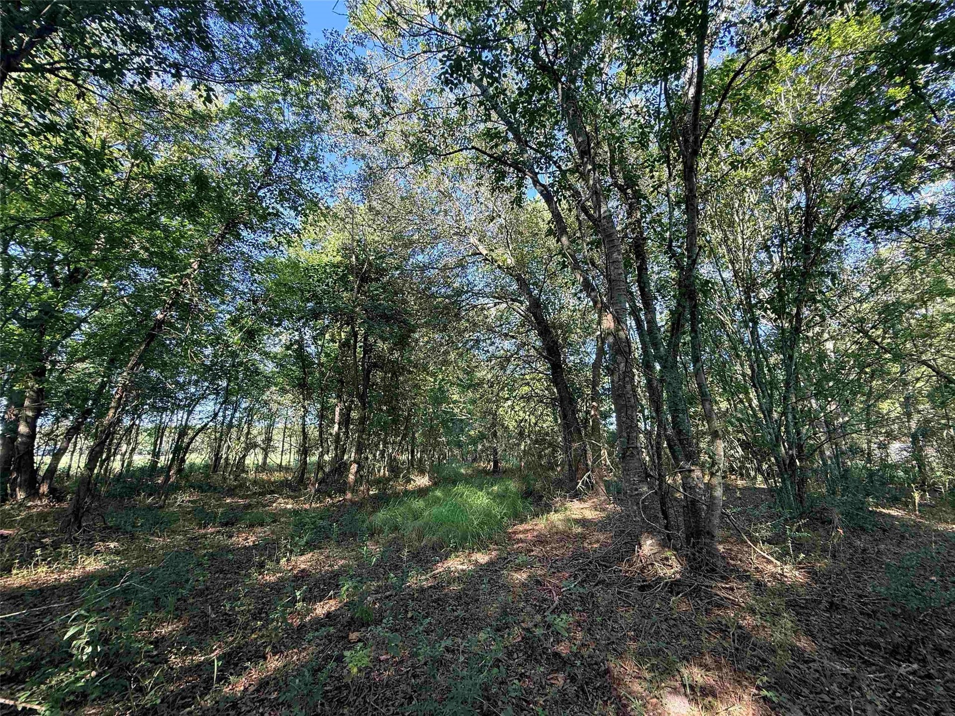601 Amanda, Beaumont, TX 77713