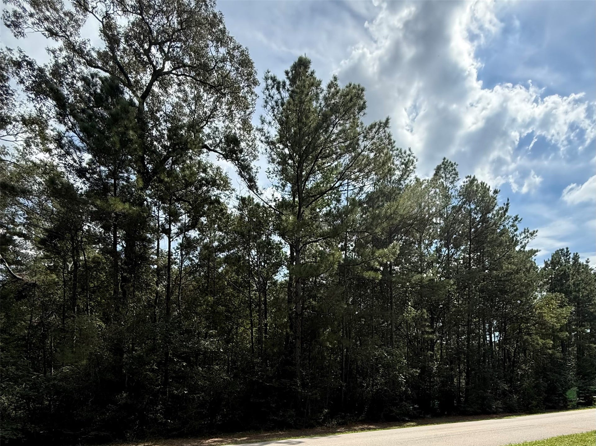 17337 Northcrest Circle, New Caney, TX 77357