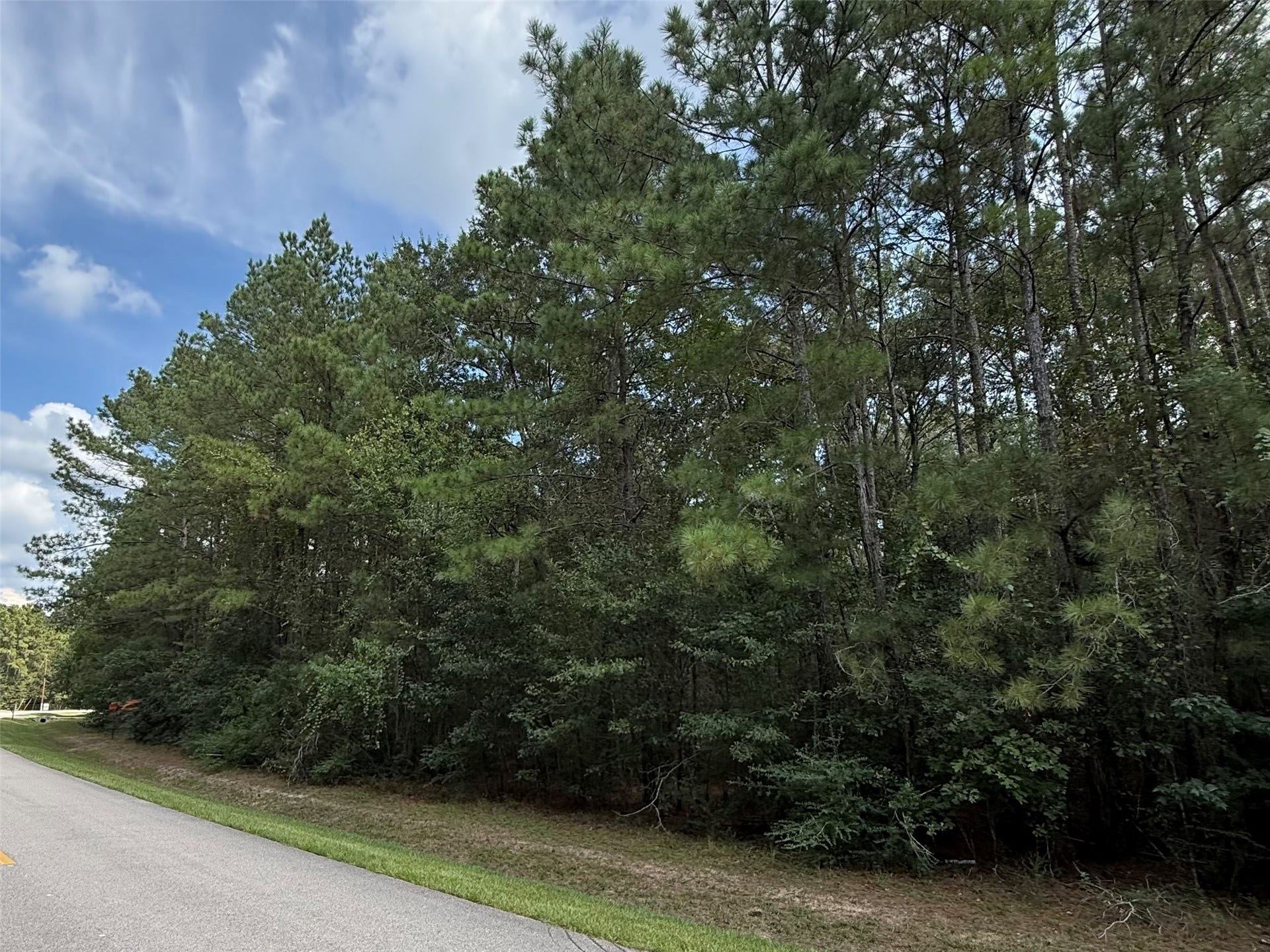 17337 Northcrest Circle, New Caney, TX 77357