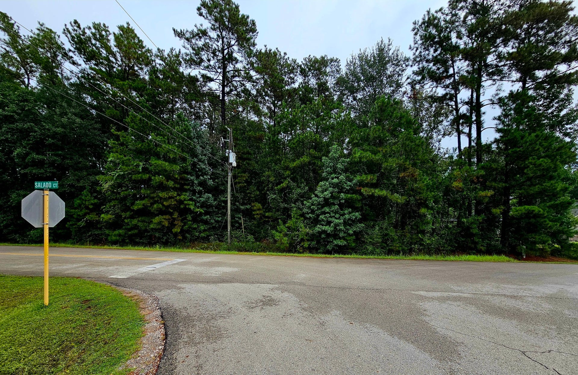 17019 Salado Drive, Splendora, TX 77372 17019 Salado Drive, Splendora, TX 77372