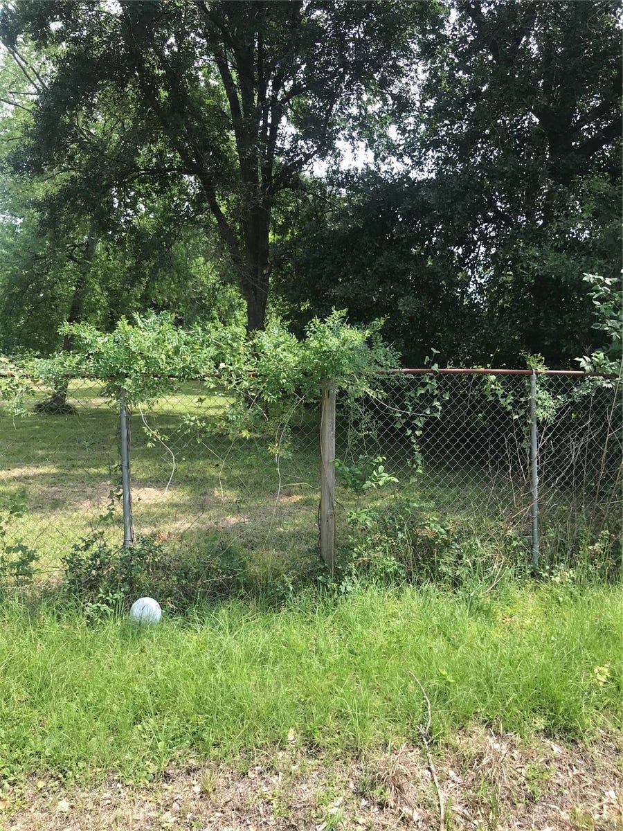 Property photo for 1202 De Soto Street, Houston, TX