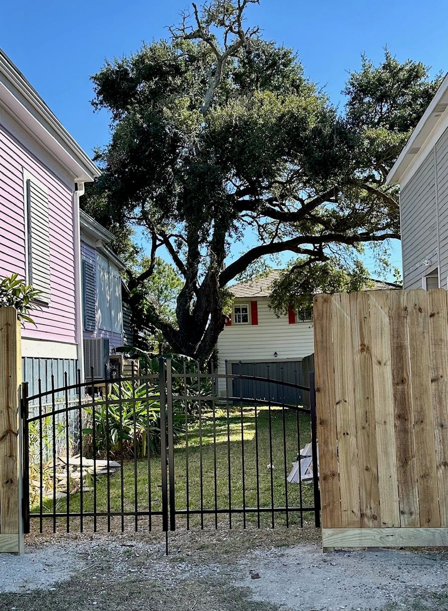 Property photo for 1009 Sealy Street, Galveston, TX