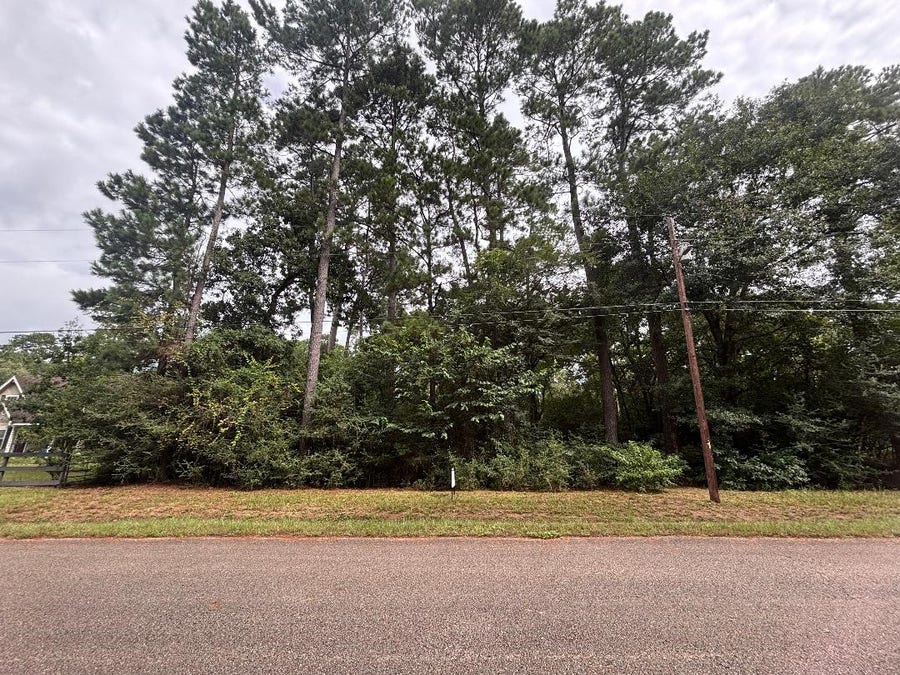 Property photo for Lot 126 Fantail Street, Magnolia, TX